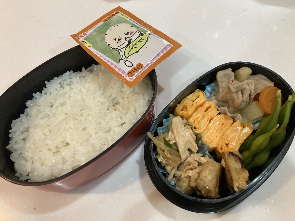 philosultant's tweet photo. 小5娘は今日もバレーの大会へ。
毎週末、弁当準備するのも大変…。今日は昨夜のおかずを詰め込んだからまだまともな方。
配車担当になるとこのまま1日戻らず出っ放しになるって、こりゃ世の中のスポ少は誰より親が大変なのでは…。
みなさんに頭が上がりませんね…🙇‍♂️ https://t.co/1AaiNSQu25