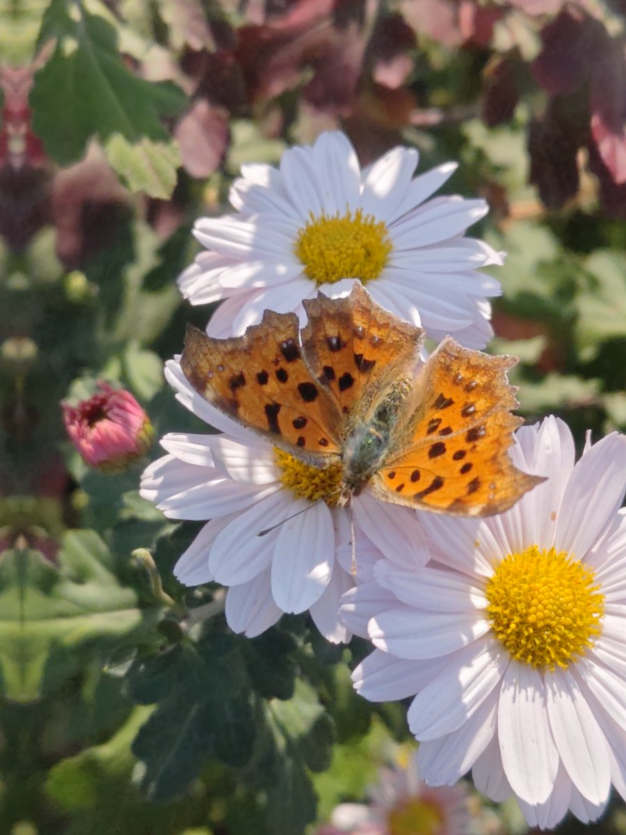 おはようございます。