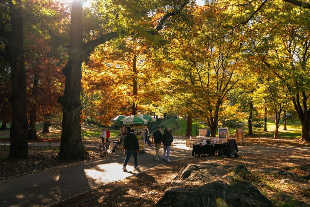CentralPark_NYC's tweet photo. Every day is a beautiful day for a stroll through Central Park ❤️
📸 Emma Goldschmidt
#HappyFriday #CentralPark #AutumnInNYC #AutumnVibes #CentralParkFall #NYCFoliage https://t.co/7hRqgbyDwA
