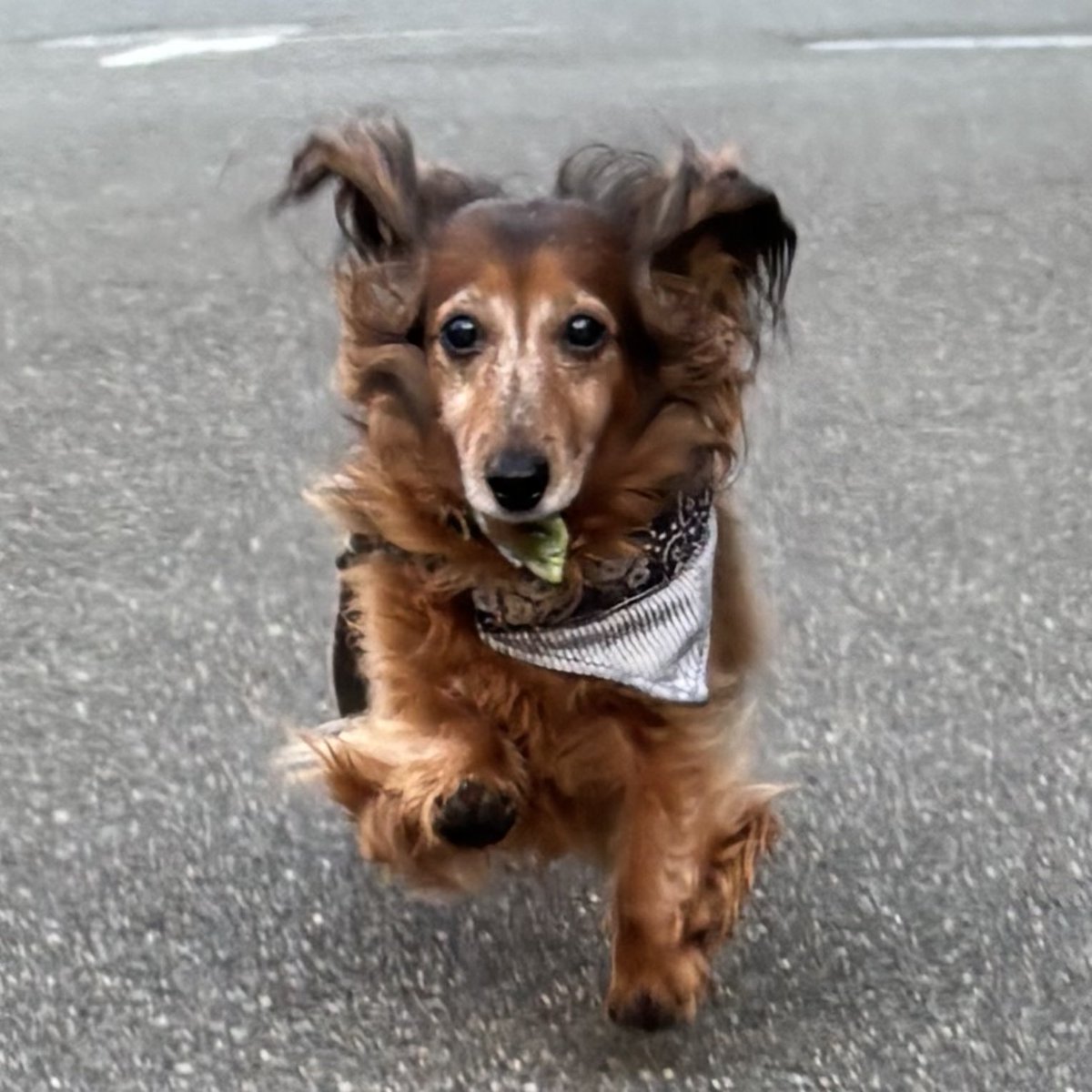 蘭丸1号機 (@shinsakan) / Posts / X