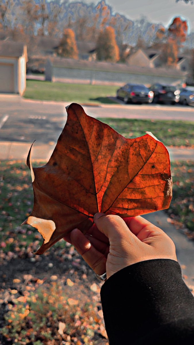 يا صديقي ..

الله يجبر خاطرك و خاطري يارب ..🕊️🤍
#حكايه 
5:05 pm