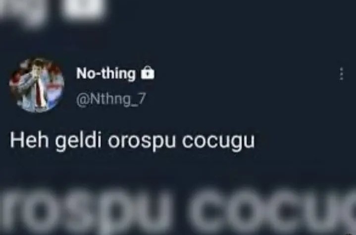 Havada karada dilim dilim doğrarım Mert