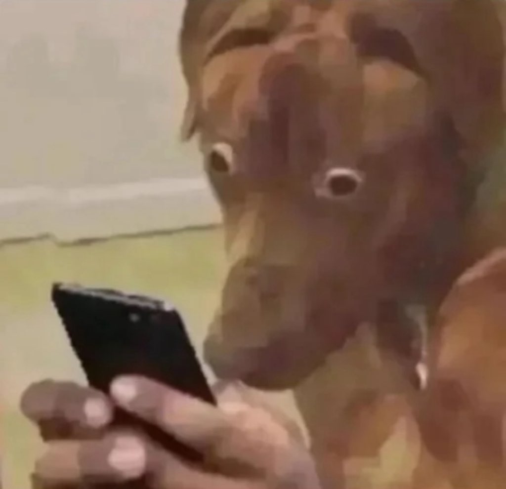 <a href="/AFpost/">AF Post</a> what the actual fuck