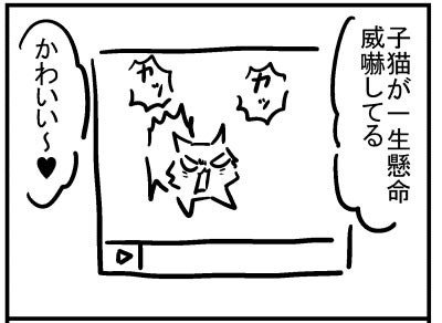 ブログ更新!「怒った子猫」https://t.co/NiURHYCB1t 