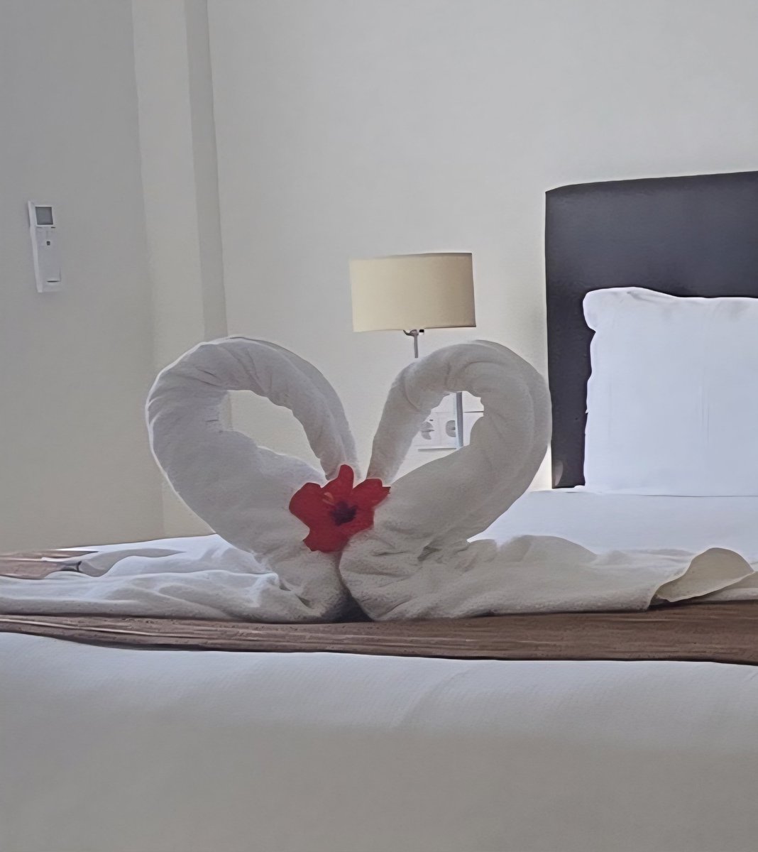 Gaby261096's tweet photo. At Sunset Harbour Club, we do not just welcome our owners & members we cherish them π You are part of the heart and soul of this place, and that is why we always have a little surprise waiting for you. Because family deserves the best π΄β¨ #SunsetHarbourClub #SHCfamily https://t.co/tNOfdz45pj