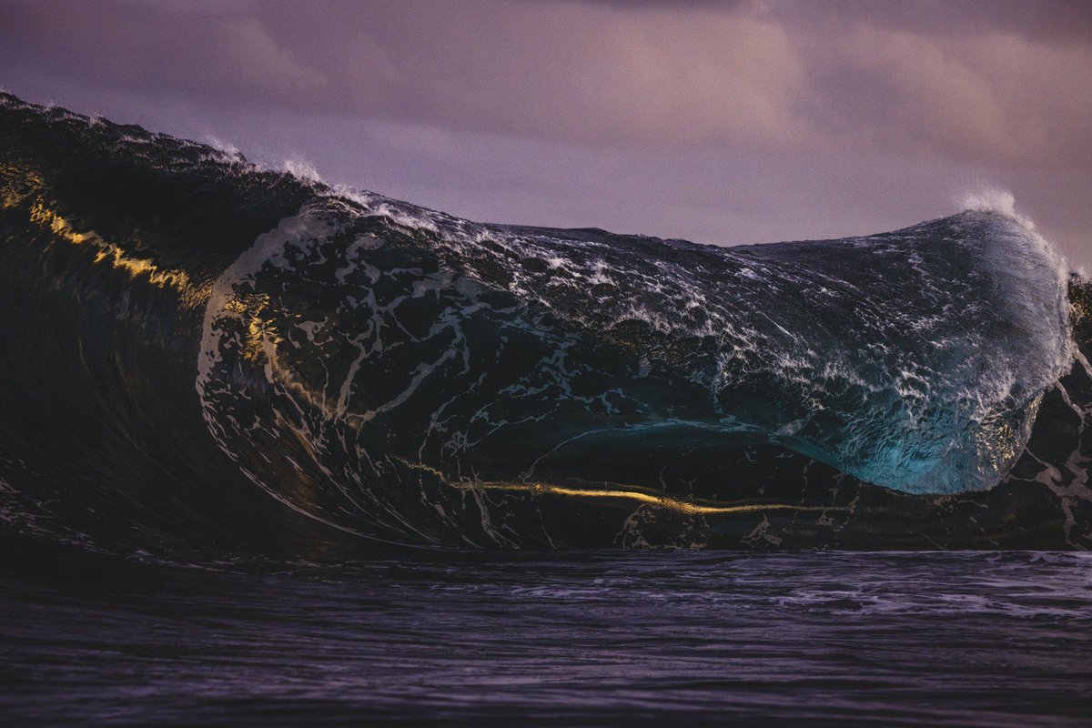 Kim Feast tweet media