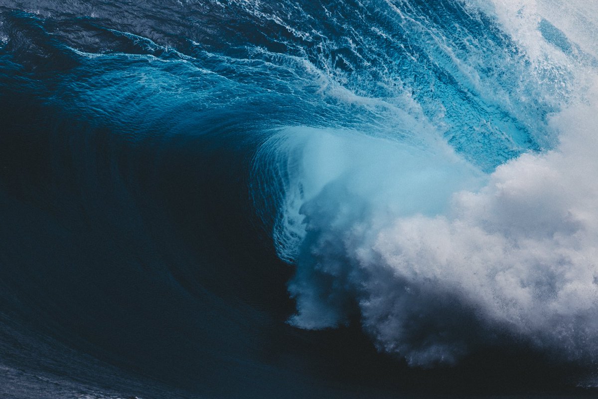 Kim Feast tweet media