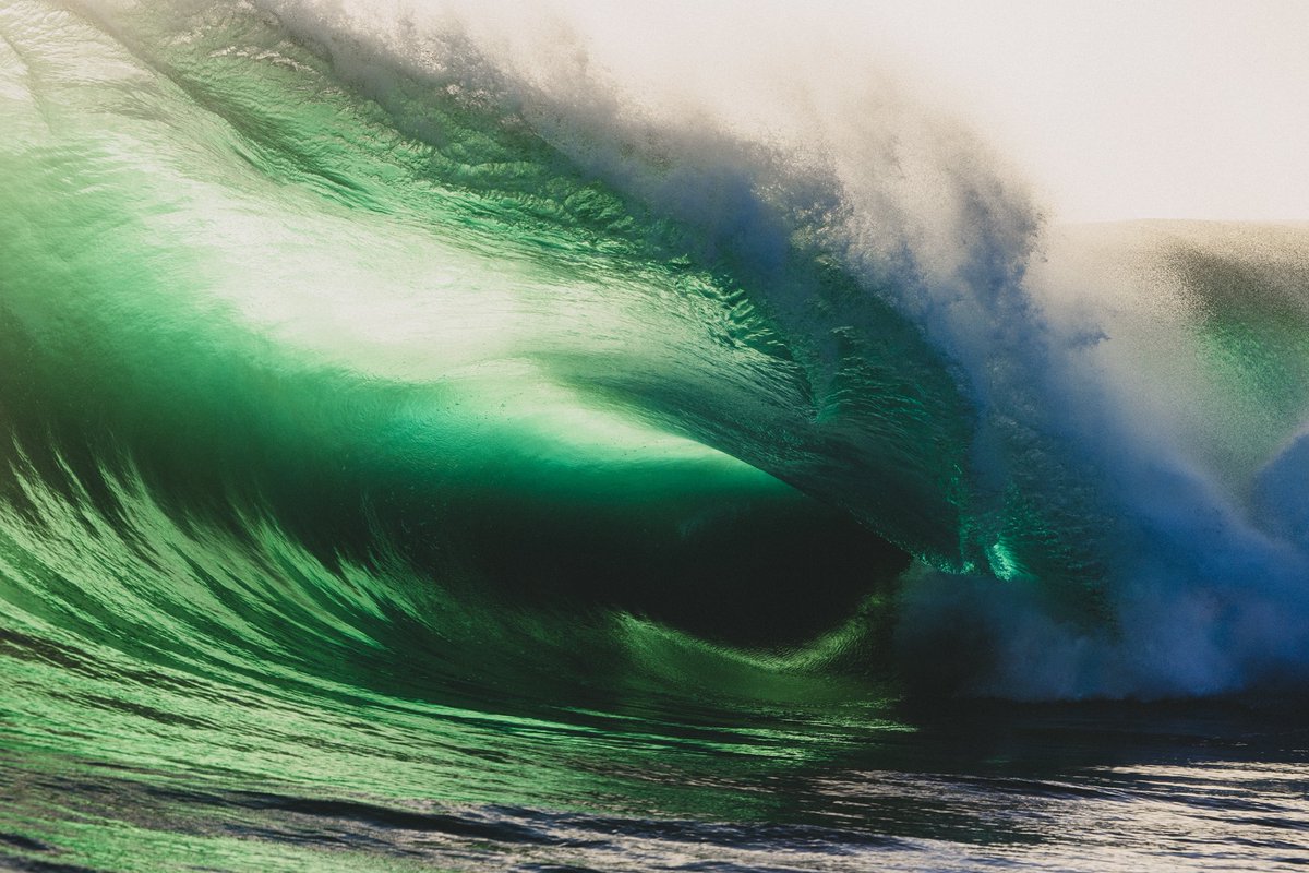 Kim Feast tweet media