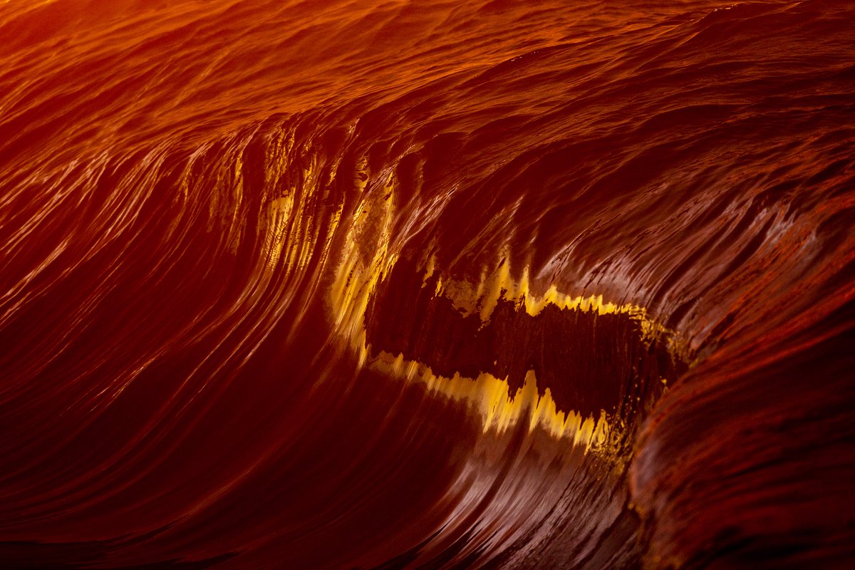 Kim Feast tweet media