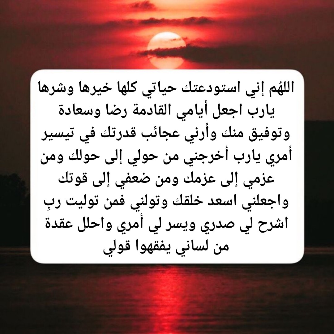 🤲🇸🇦🤲🕌🕋 سميةسوسو 🕋🤲🇩🇿🤲 (@soumia3535) on Twitter photo 