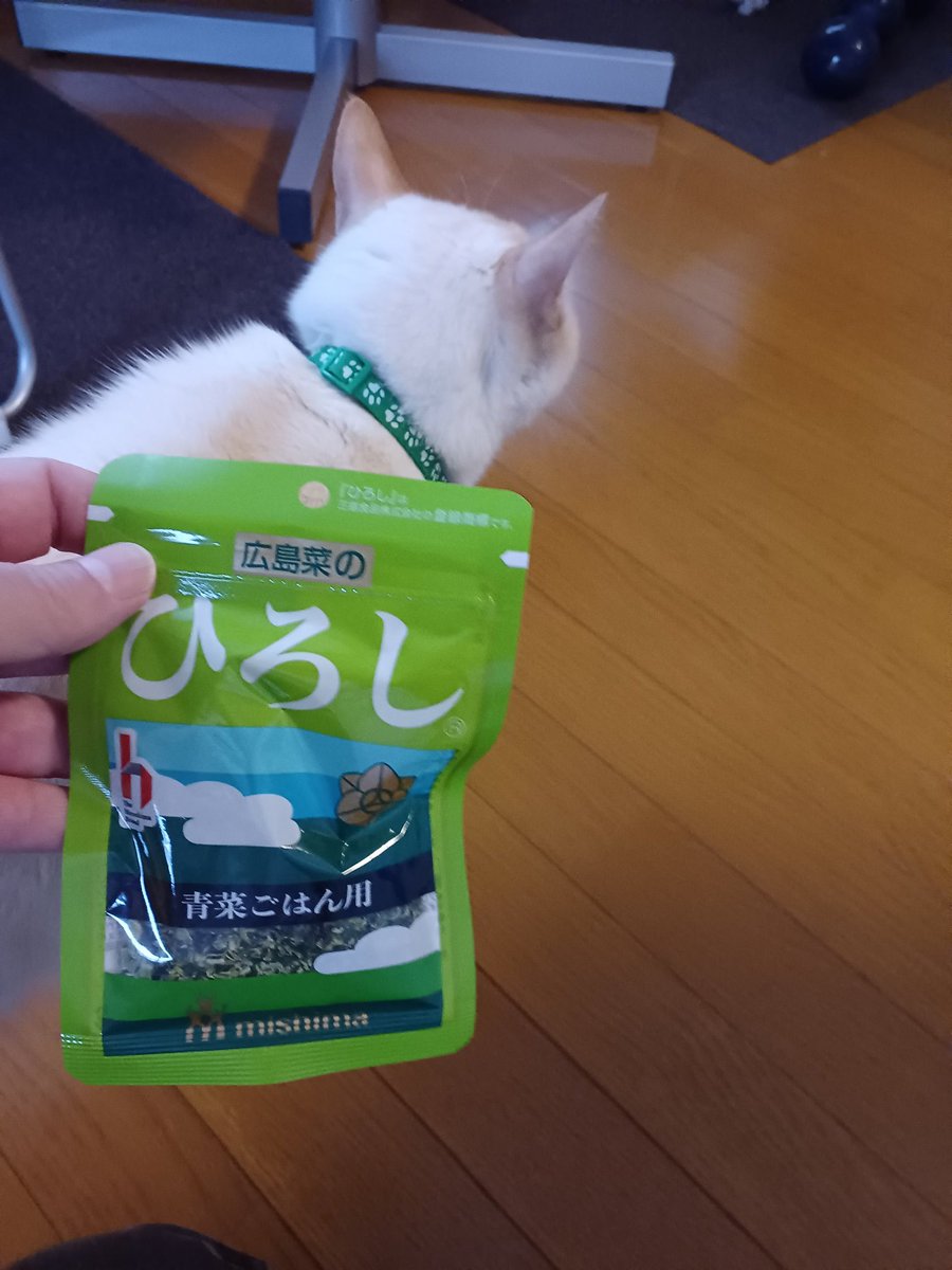 Hiroshi1970Cat's tweet image. ☀️🙋‍♀️❗おはようふりかけひろし🌞
昨夜の👣つぼ効いたかな❓️😉また来てね✨今日もよろしく😃✌️

#ねこ宇宙 #看板ねこ #まねきねこ #笹かま猫 #ねこのいる整体サロン #ふりかけひろし #三島食品非公認アンバサダー