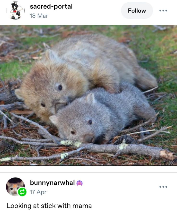 atxmpalmers's tweet image. 