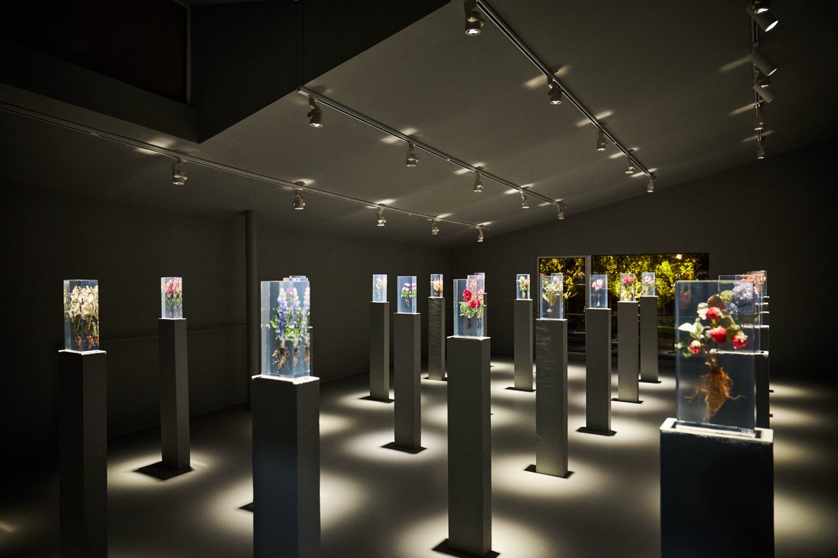 Post by AZUMA MAKOTO on X: 四方自然