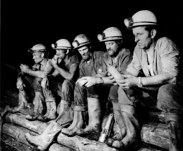 by__brittany's tweet image. Feminists say “We don’t need men”

Meanwhile, men:

Military – 95% men
Firefighters – 97% men
Coal miners – 95% men
Loggers – 96% men
Welders – 94% men
Truck drivers – 90% men
Construction – 92% men
Oil rig workers – 96% men
Fishermen – 97% men
Surgeons – 82% men
Engineers – 89%…