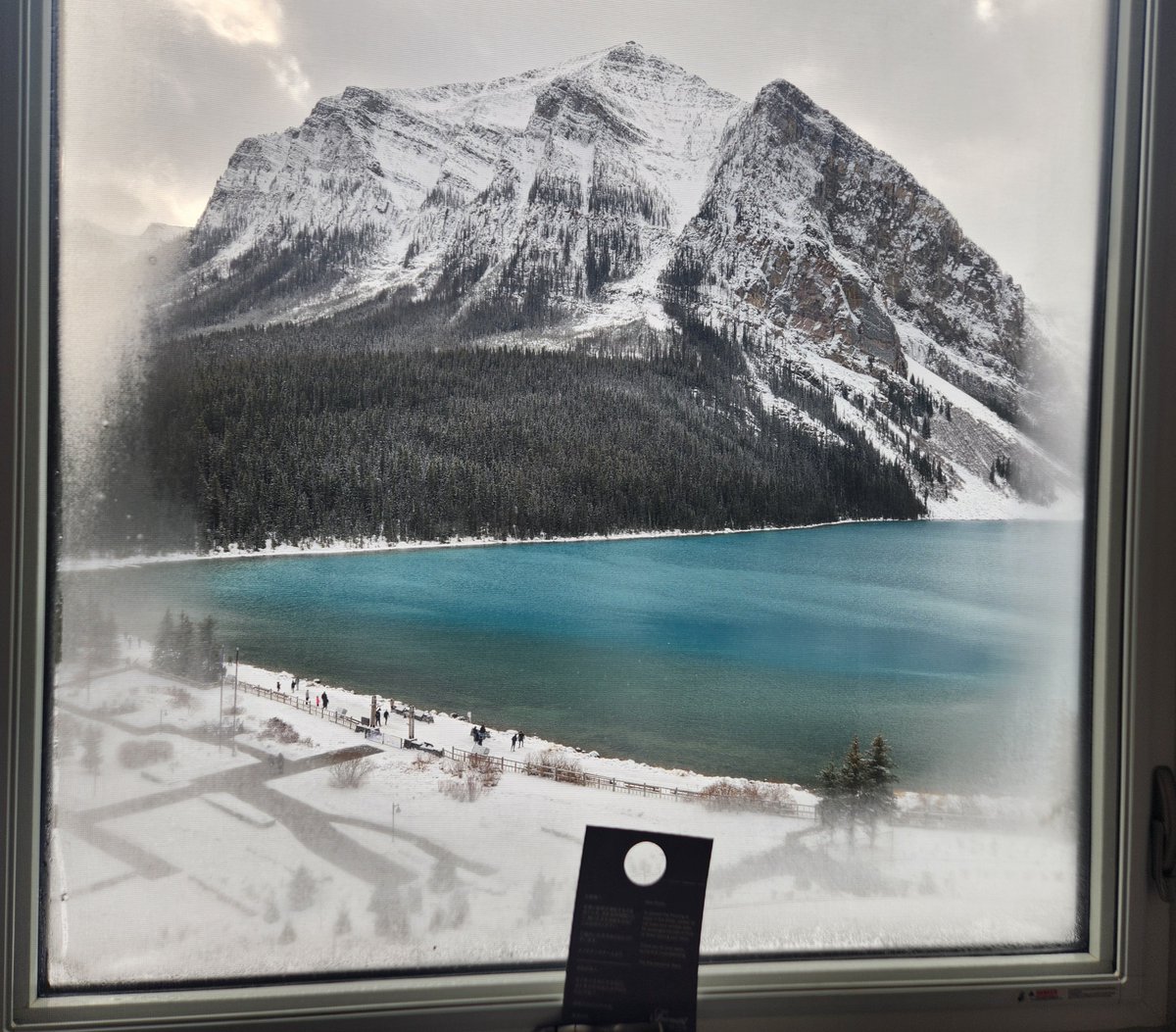 lazyJQ's tweet image. 此刻窗外
飘着小雪，一切都静的不像话

前几天结的冰全化掉了，第一次试图封冻失败🤣