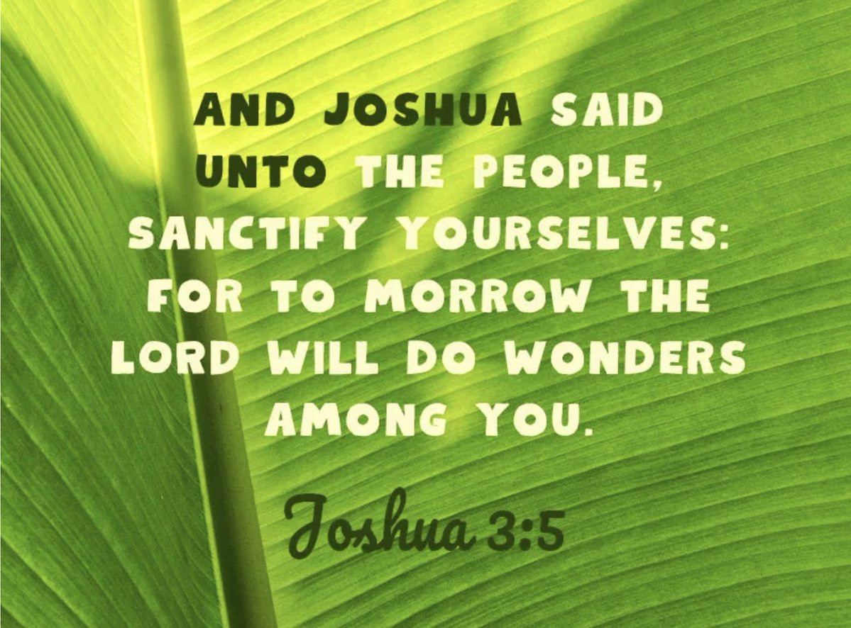 eepdllc's tweet image. Let’s be prepared to serve God in all we do. We may procrastinate in other areas, but let’s be diligent in building our relationship with God. Let’s prioritize following his word, and seeking opportunities to serve.