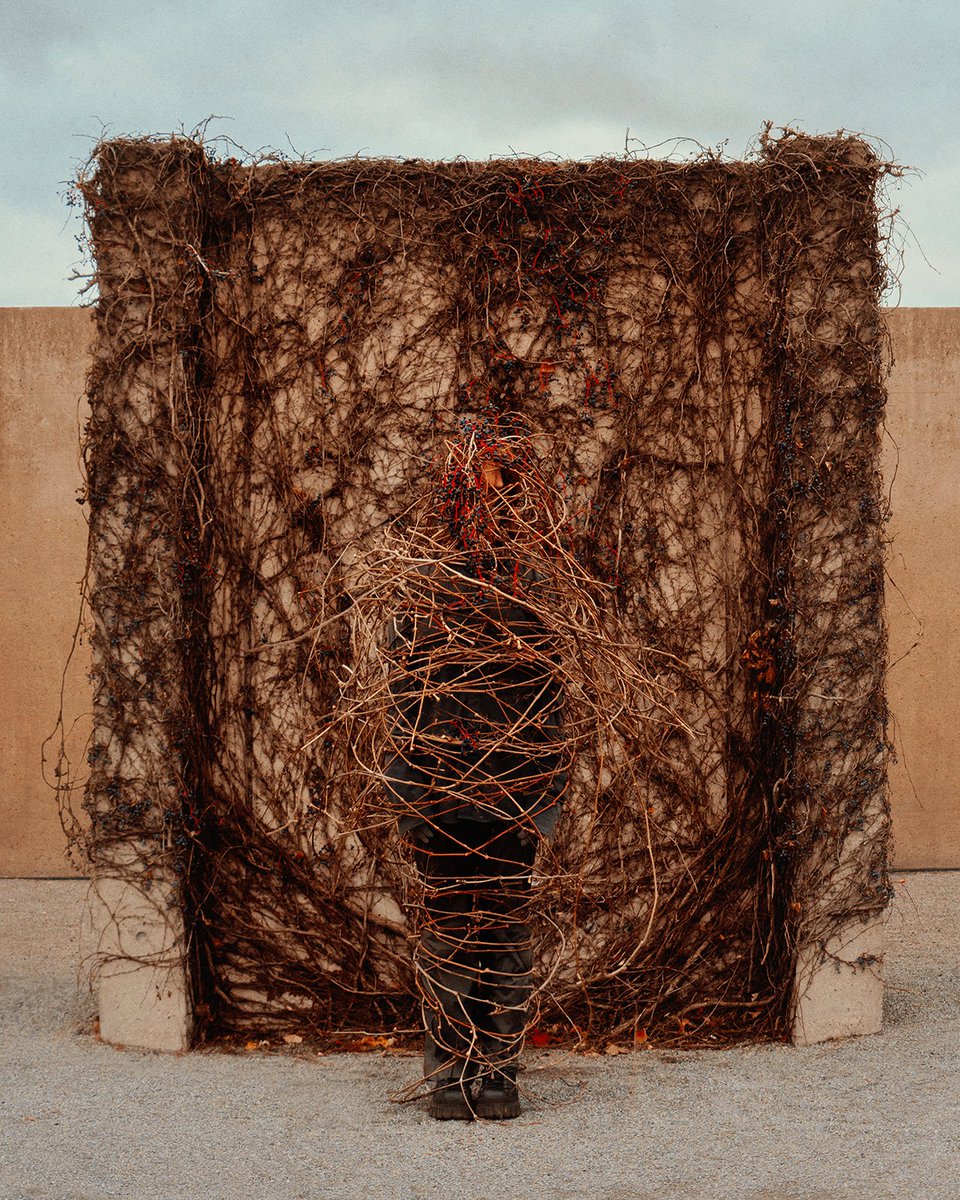 Gm Creatives &amp; Collectors!

“Blending In” by <a href="/seanmundyphoto/">Sean Mundy</a>

Happy Friday