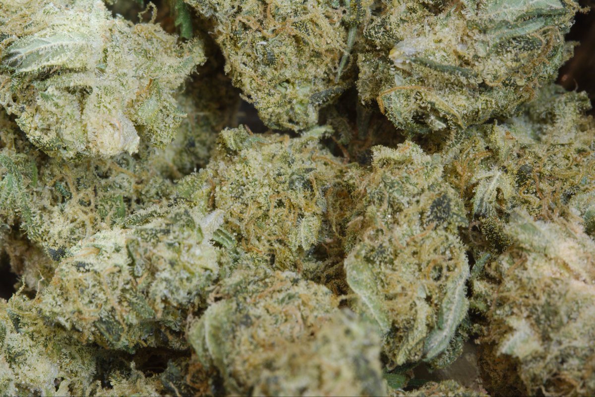 Today I’m writing about some Happy Hour branded Pure Cake Skunk Smalls from Herbal Dispatch.

They were grown organically by Coast Mountain Cannabis, whom I’ve heard a lot about, but never got to try, so my expectations were pretty high.