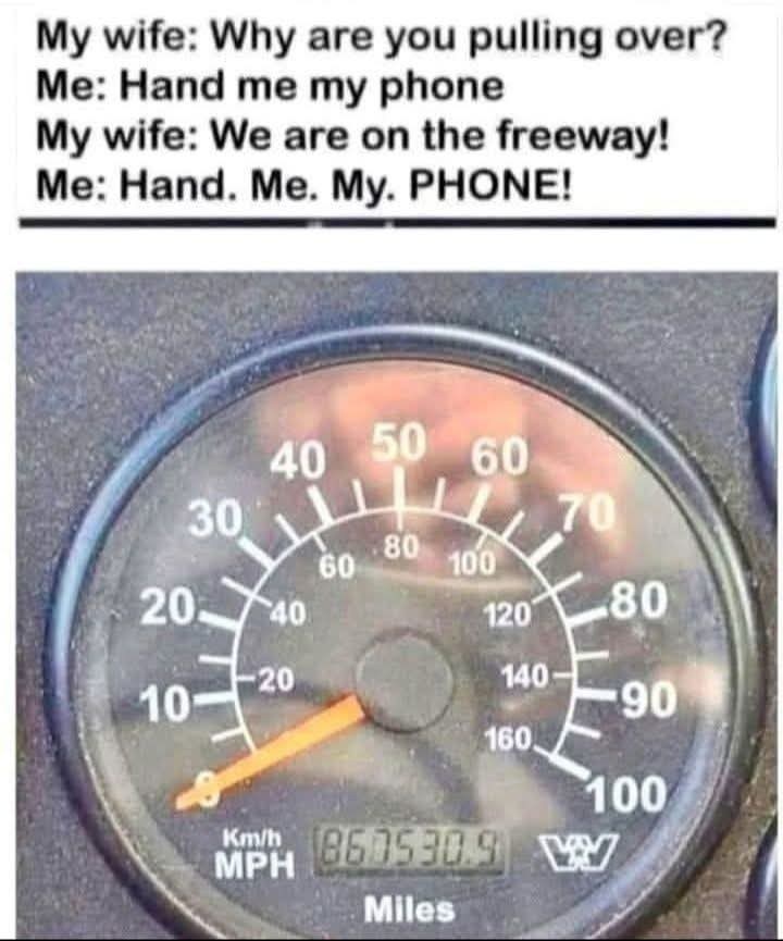 BlueDogsWin 🌊🪷🐝💛 tweet media