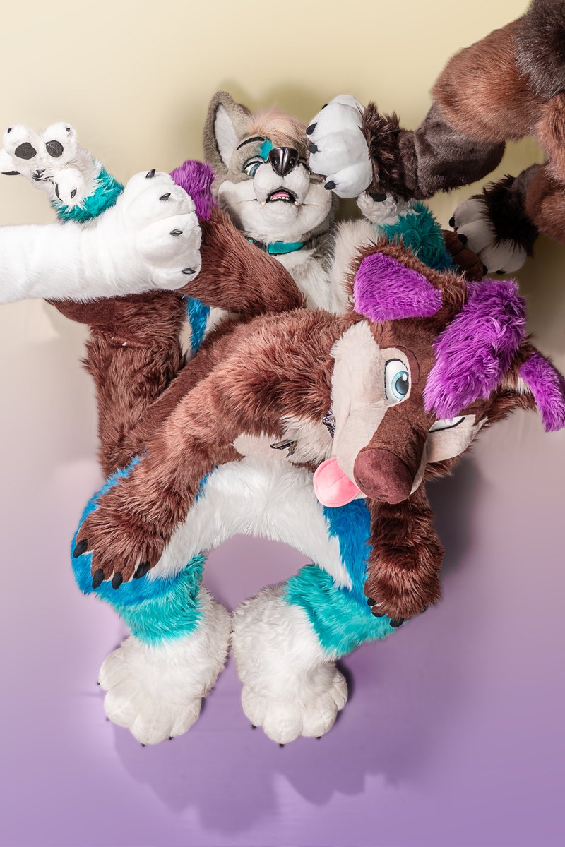 Mira 🐶🐾💜🐾 tweet media