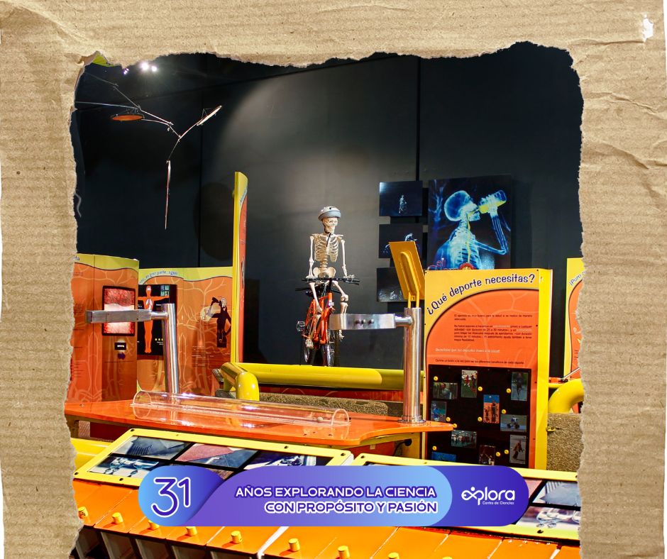 ExploraLeon's tweet image. ¡Comienza una semana de celebración por nuestro 31 aniversario! 

En Explora hemos vivido miles de historias, descubrimientos y momentos que se quedan en la memoria. Hoy celebramos nuestras salas icónicas, esas donde muchos crecieron, aprendieron y se maravillaron.