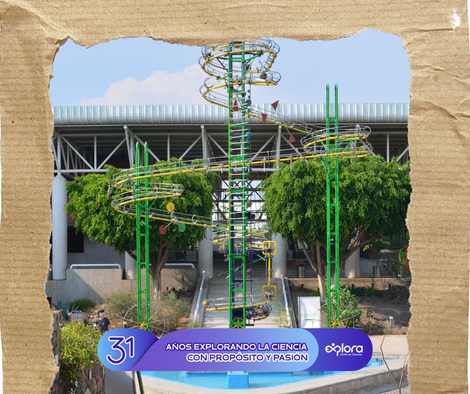 ExploraLeon's tweet image. ¡Comienza una semana de celebración por nuestro 31 aniversario! 

En Explora hemos vivido miles de historias, descubrimientos y momentos que se quedan en la memoria. Hoy celebramos nuestras salas icónicas, esas donde muchos crecieron, aprendieron y se maravillaron.