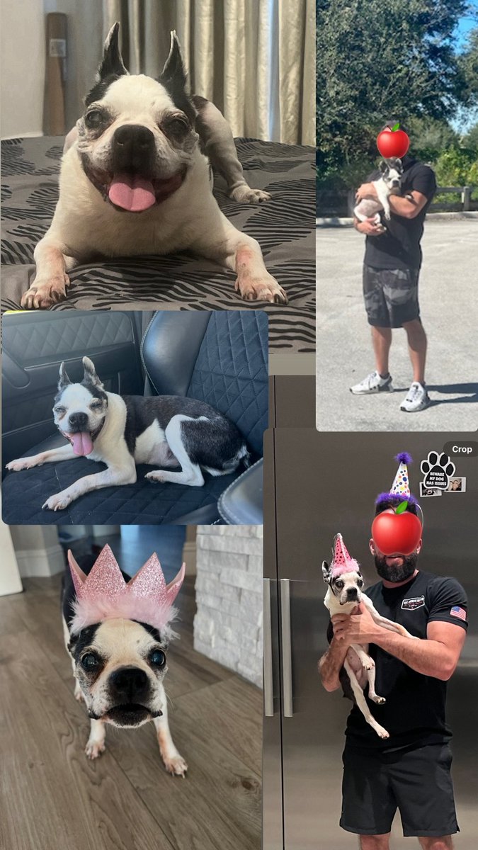 Hug your fur babies every chance you get. They’re never on this earth long enough.

When I took Lexi in a few years ago, she had already lived most of her 17-year life.

But those last few years with her meant everything. Wish we got more.

Sleep easy, baby girl ❤️