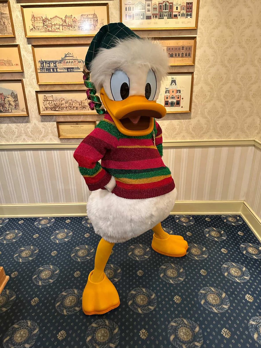 🛟 ナ ナ ル ド 🛟 (@donalddaisy77) / Posts / X