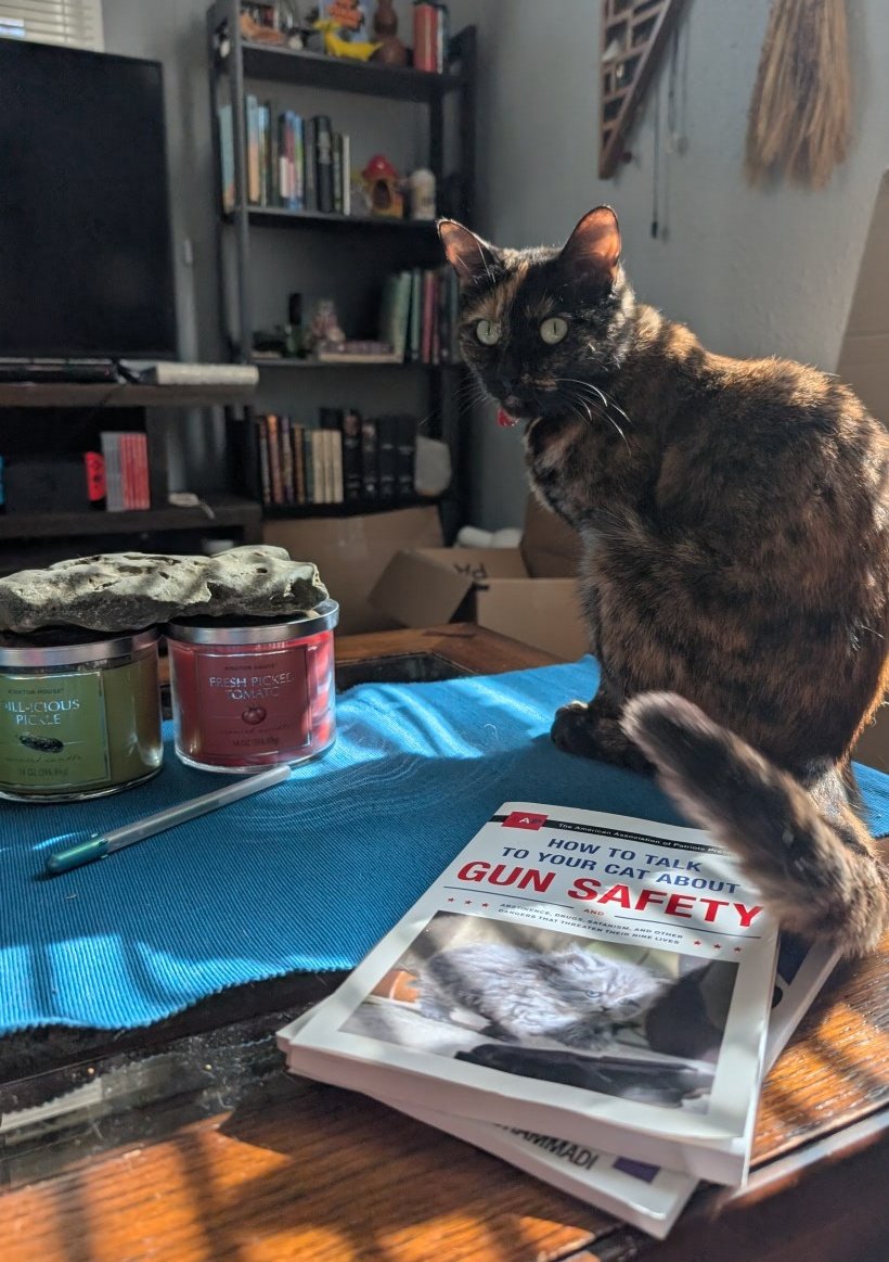 caprisunnycat's tweet photo. gun safety is important chads https://t.co/UmfqXdOOOm