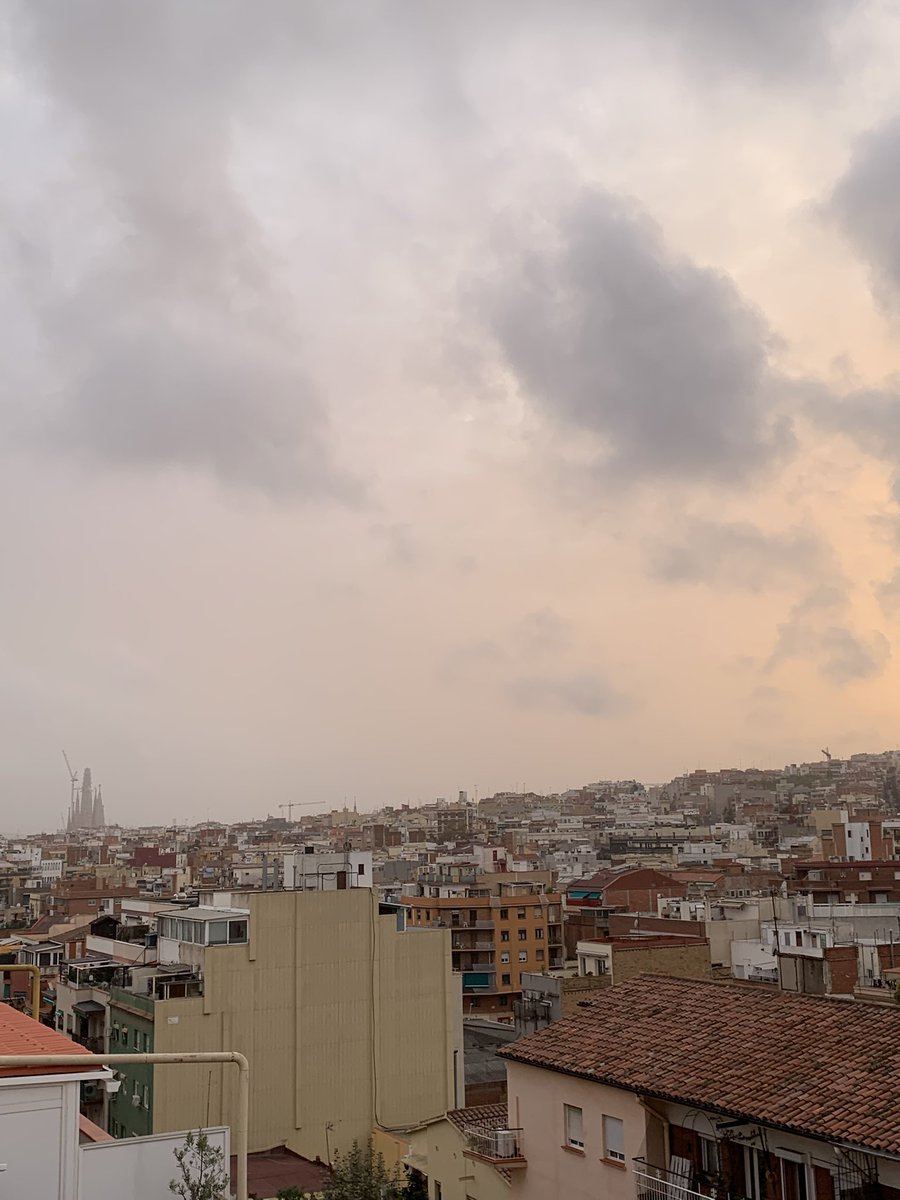 Montse Guiu i Mas tweet media