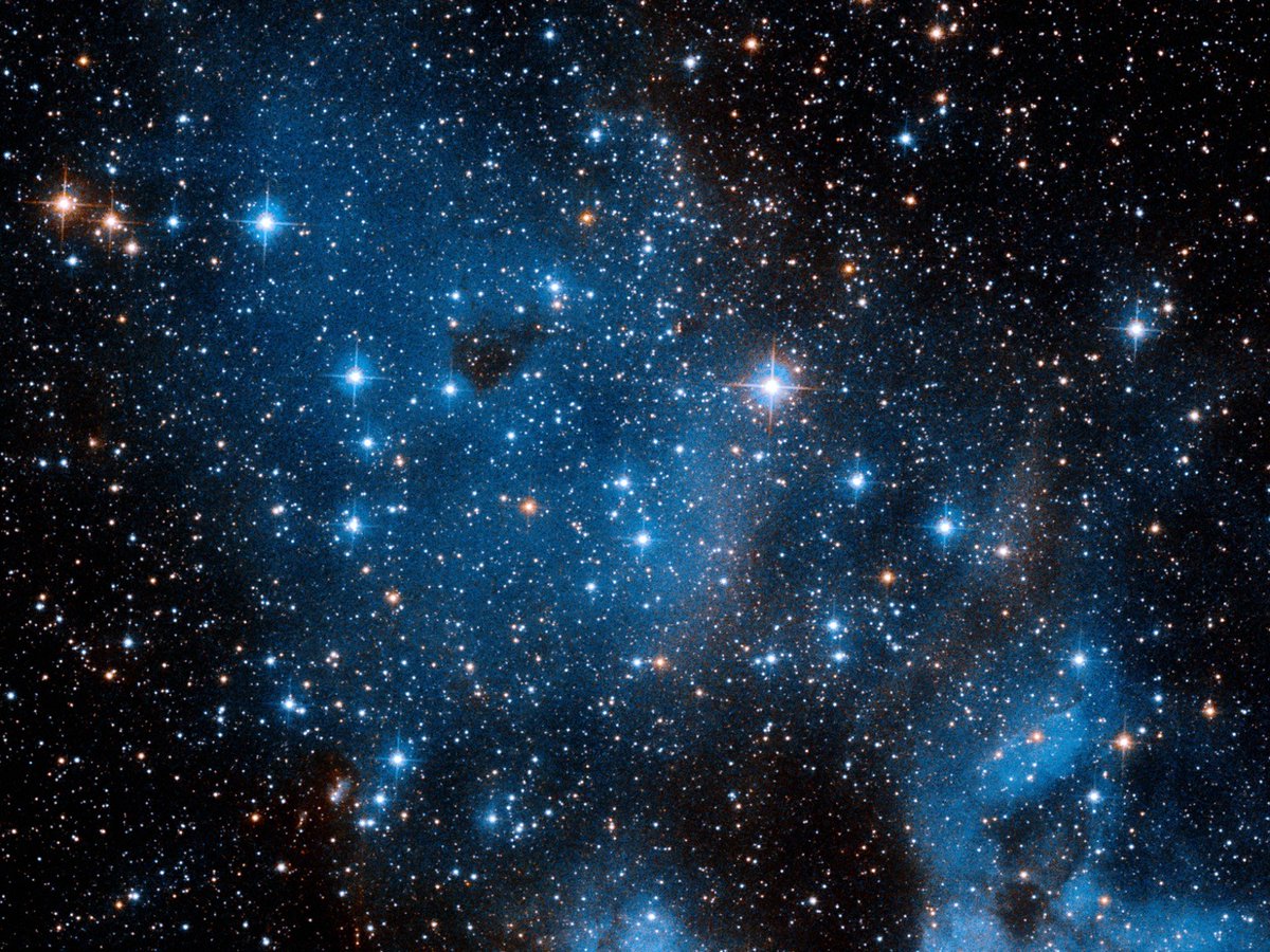 نحن مثل النجوم 
  و لكل منها نورها الخاص