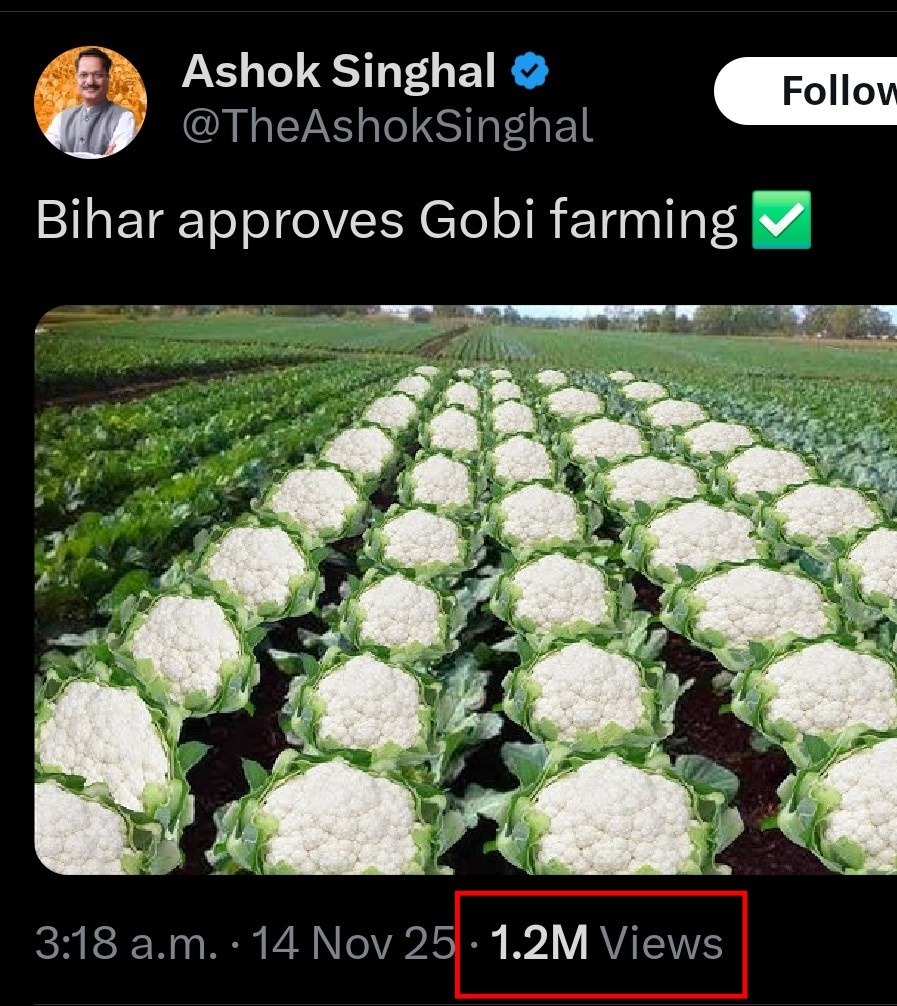 Nusaybah tweet media