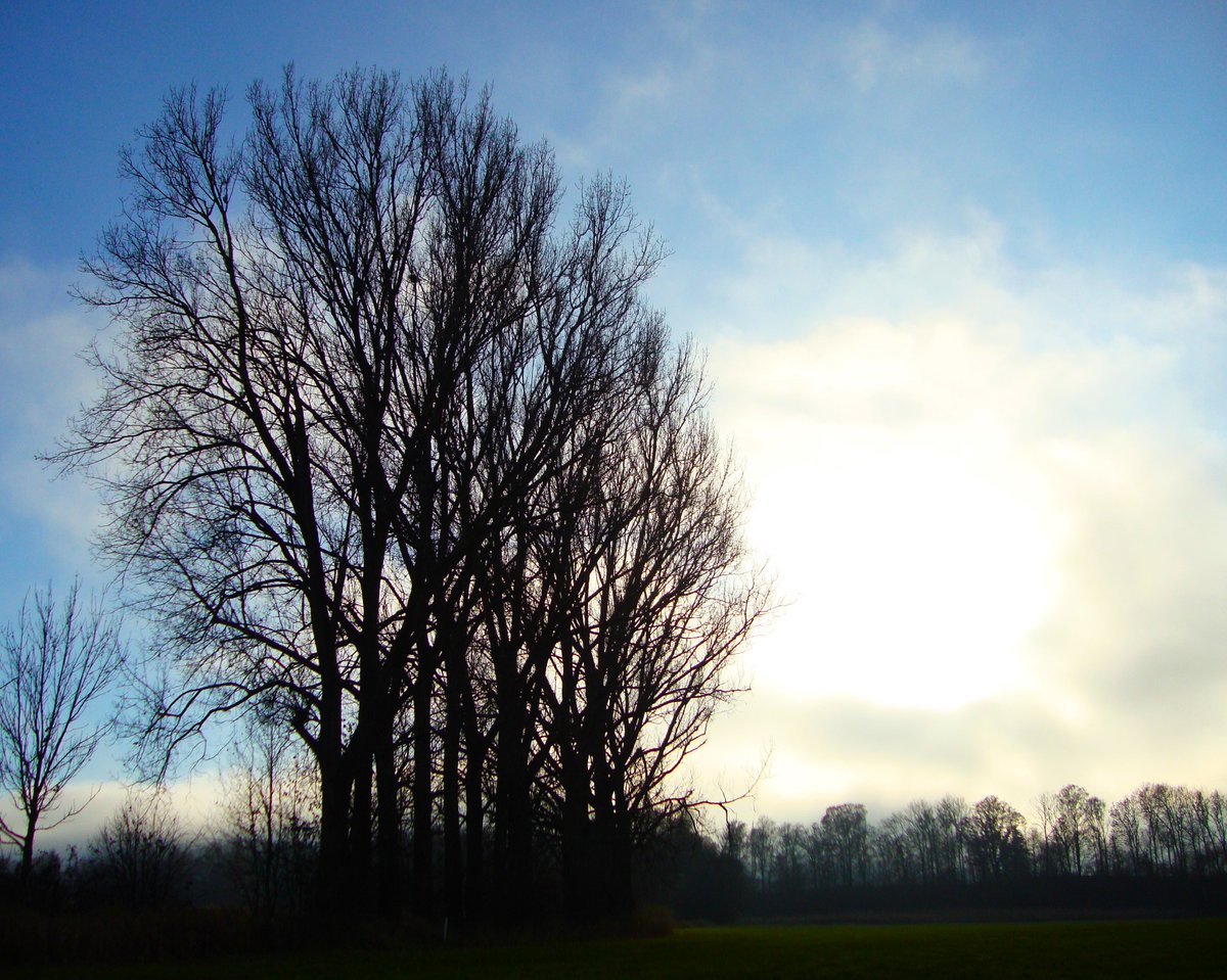 Impression aus (meinem Weiler namens) Ewigkeit im November