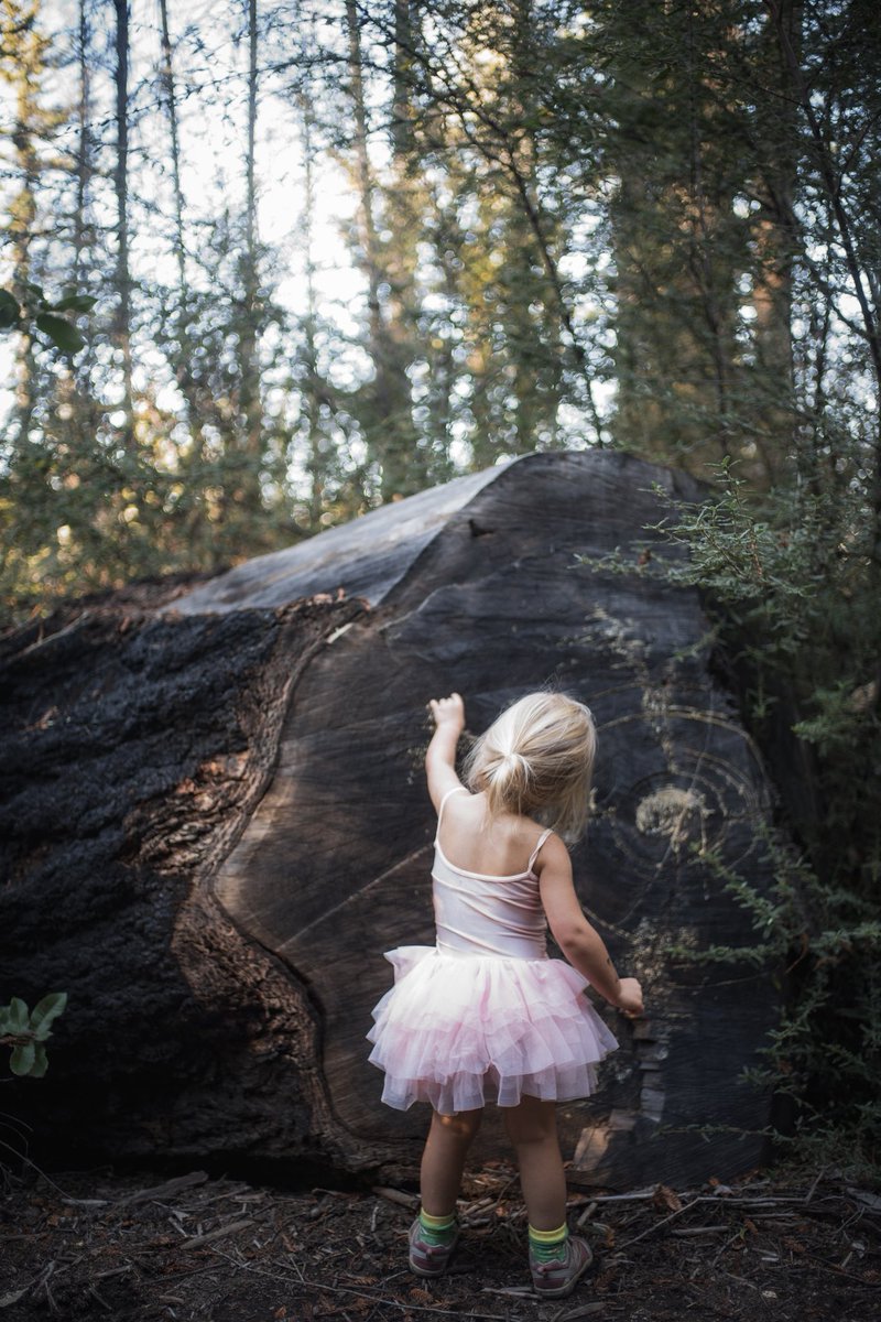 Sebastiaan de With tweet media