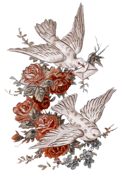 𝐊𝐲𝐥𝐞 𝐋𝐞𝐧𝐧𝐨𝐱 (@midnoir) on Twitter photo 