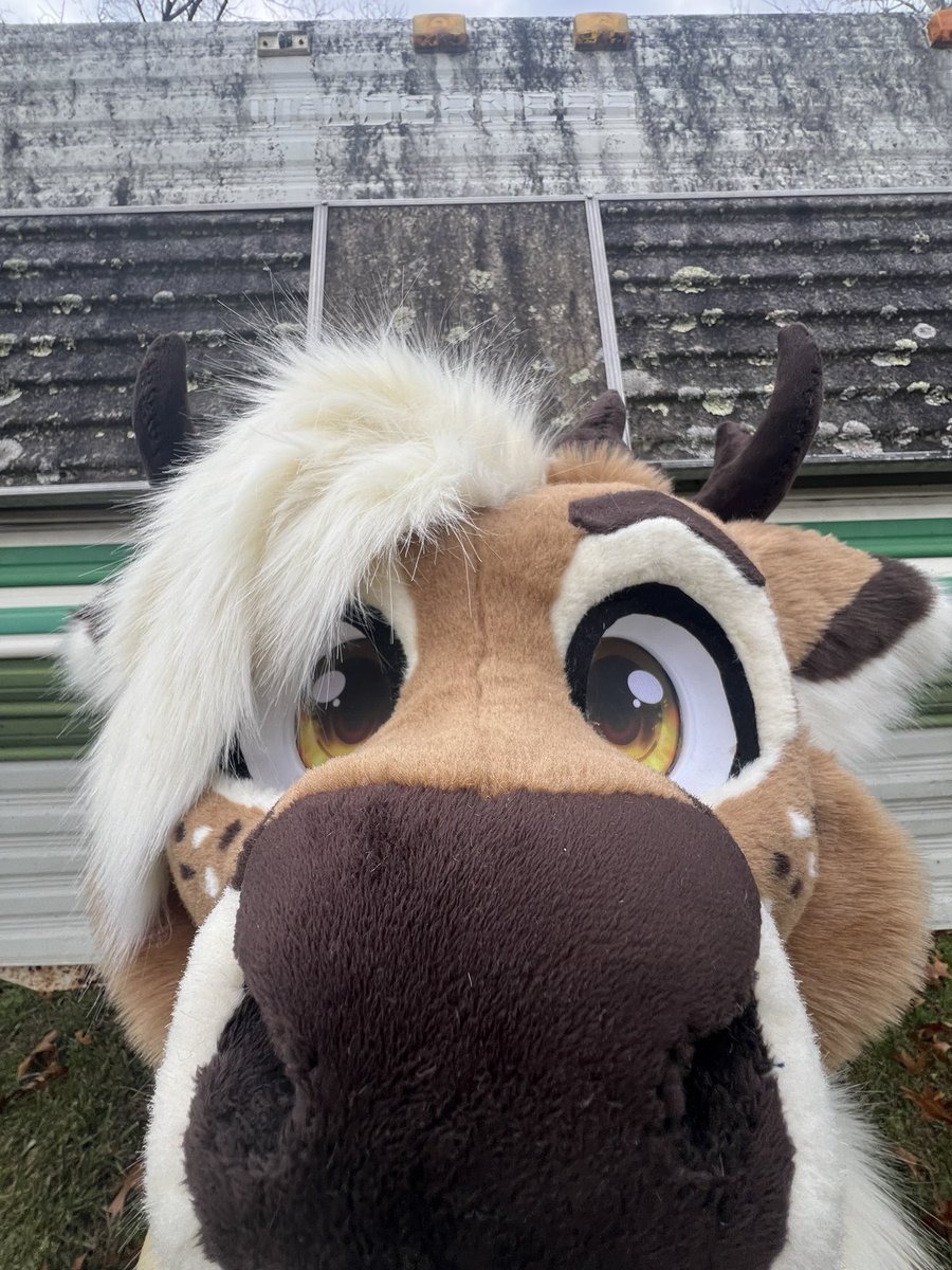Timber the deer head is done!! They will soon be a full suit!!