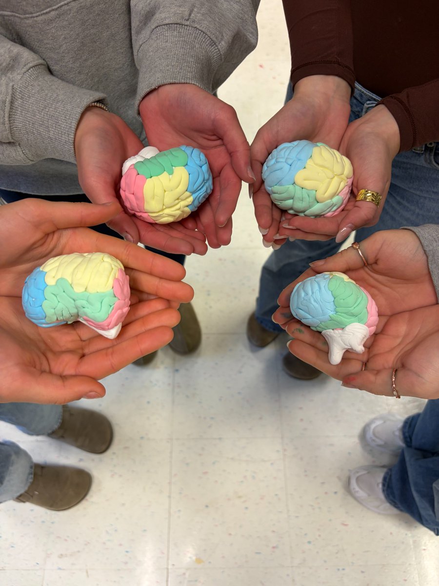The Medical Careers Club, led by Senior High School student Reese Sequite, recently hosted an engaging workshop that combined science, art, and healthcare in a hands-on learning experience.

basdk12.org/quick-links/di…