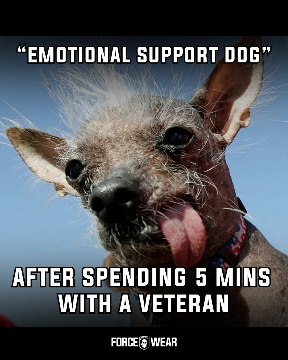 ForceWearHQ's tweet image. When your therapy dog needs a therapy dog... 🤣

#veteranmemes #forcewearhq #militaryhumour