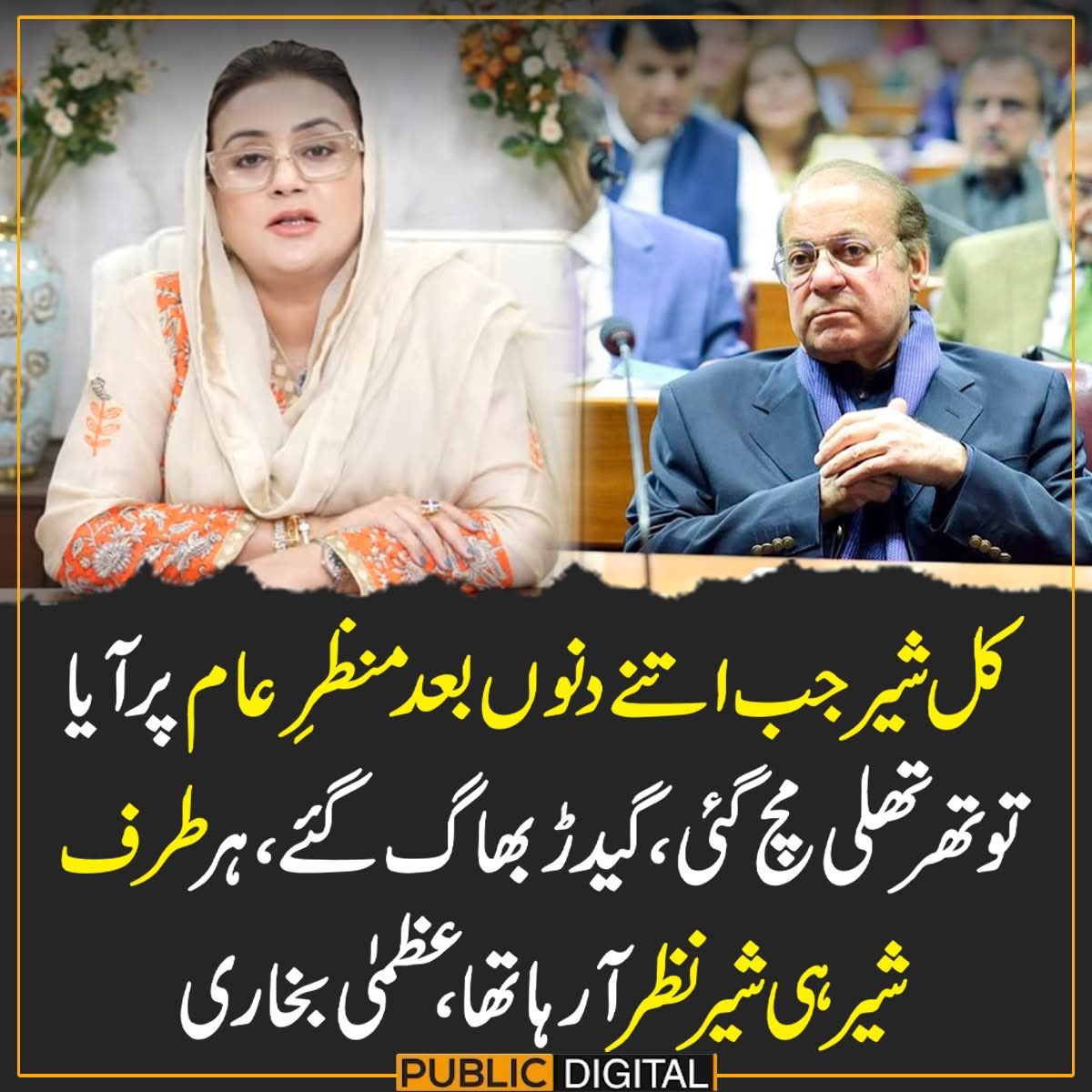 ہاں جی جی پھر رینگ ماسٹر ایا تو شیر نے کلابازی بھی لگا کر دیکھائ اور تو اور رسے پر چل کر بھی دیکھایا دھاڑنا بھی چاہتا تھا پر پلیٹں لندن رہ گی تھی اس لیے ماضرت کر لی