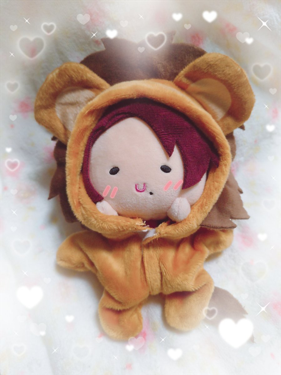 ぬいとかずっと買ってなかった友達がついに長谷部買って愛でてるから