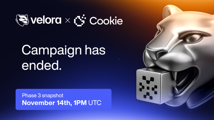 The <a href="/VeloraDEX/">Velora (formerly ParaSwap)</a> Campaign has wrapped up!

The Phase 3 snapshot for the top 500 Snappers has been taken today at 1 PM UTC.

Reward distribution will take place next week.