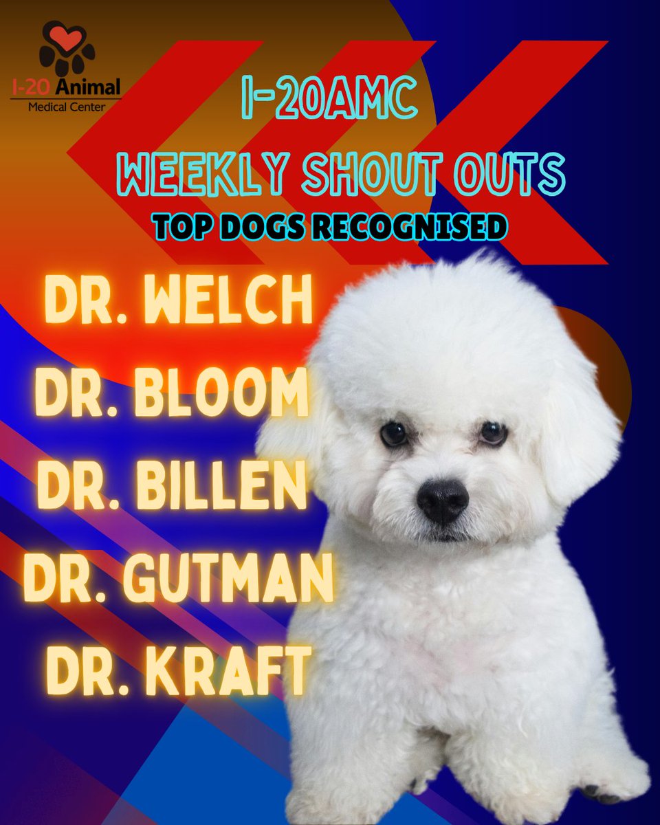 I20Animals's tweet photo. I20AMC TOP DOG SHOUT-OUTS 

Meet the Veterinarians! https://t.co/HSlDfL2adg