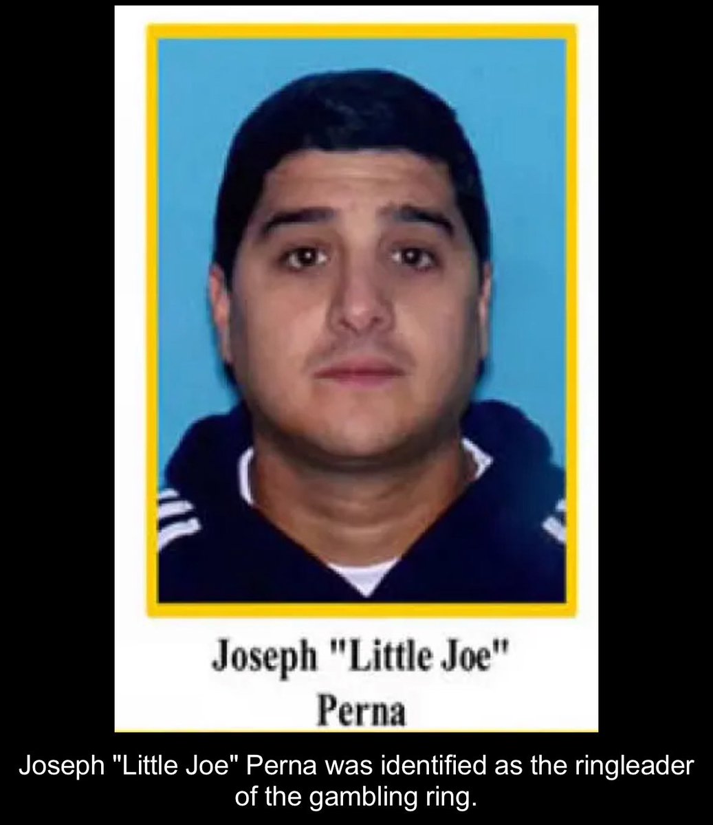 Joey Perna's Instagram, Twitter & Facebook on IDCrawl