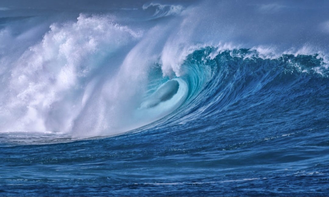 bhaskarnanda6's tweet photo. Blue crush https://t.co/sFfjWSQVhf