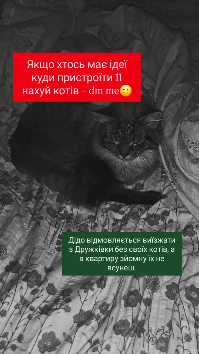 Шановні, якщо знаєте, як тут допомогти - напишіть мені в приватні, будь ласка