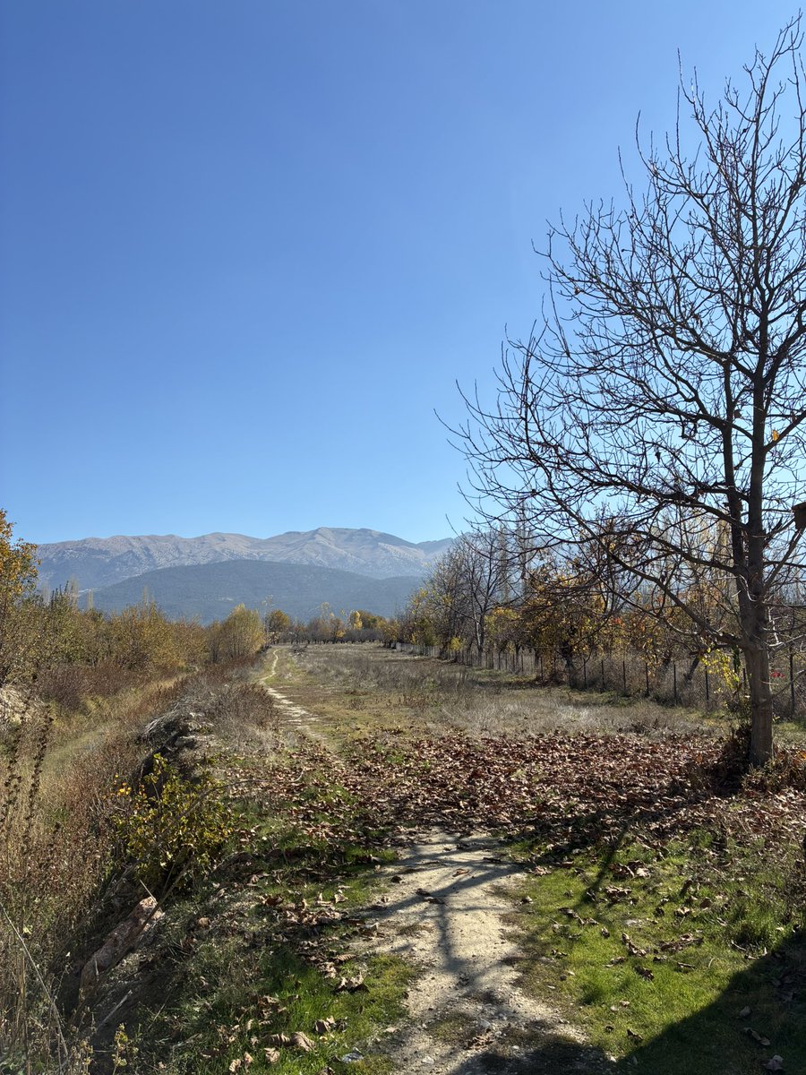 pixierunnerx's tweet image. Bugün🍀 #runningviews #views