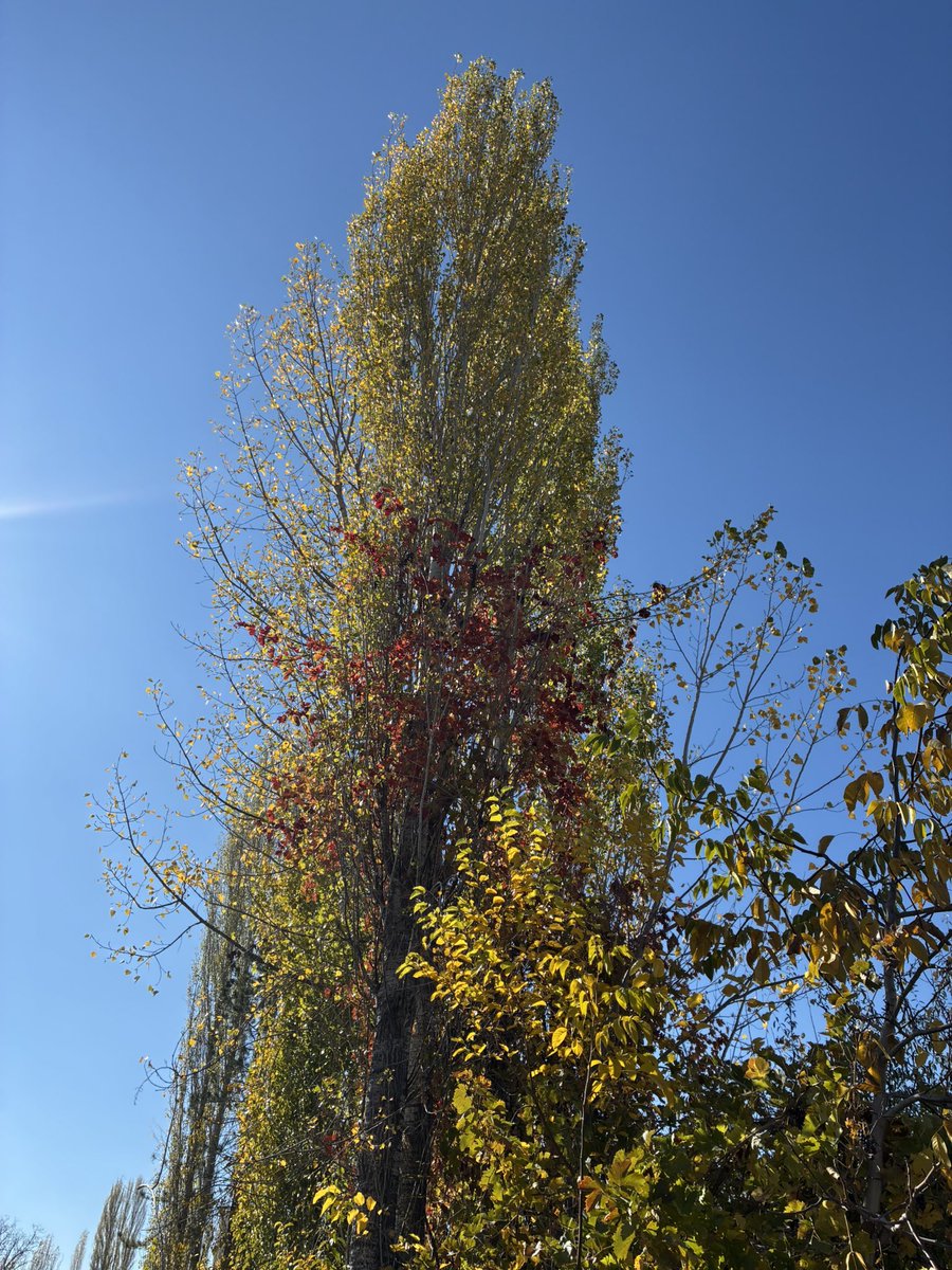 pixierunnerx's tweet image. Bugün🍀 #runningviews #views