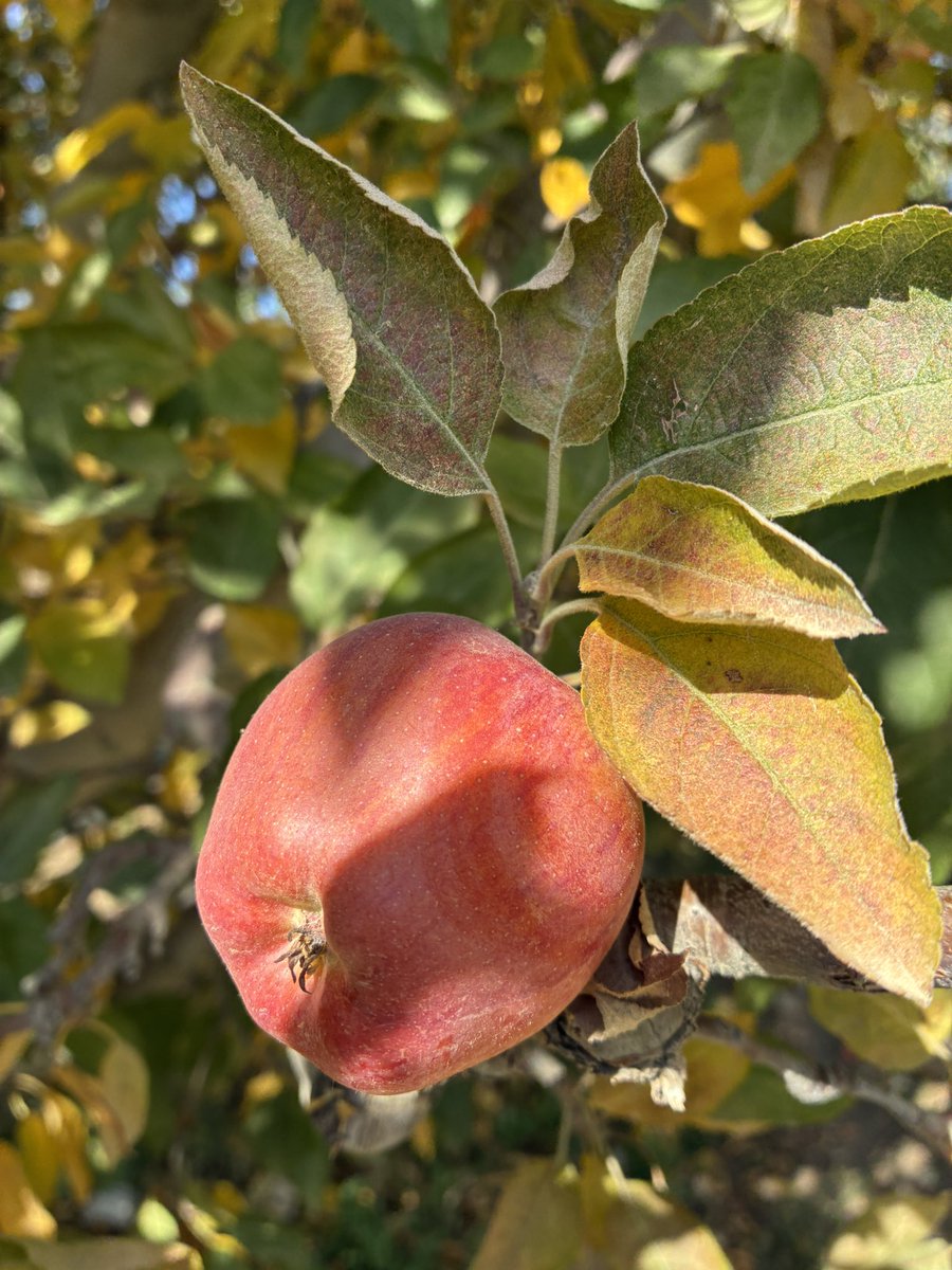 pixierunnerx's tweet image. Bugün🍀 #runningviews #views