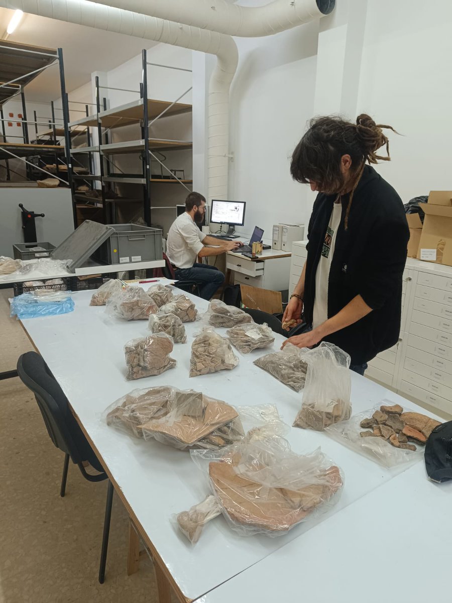 GRESEPIA tweet media