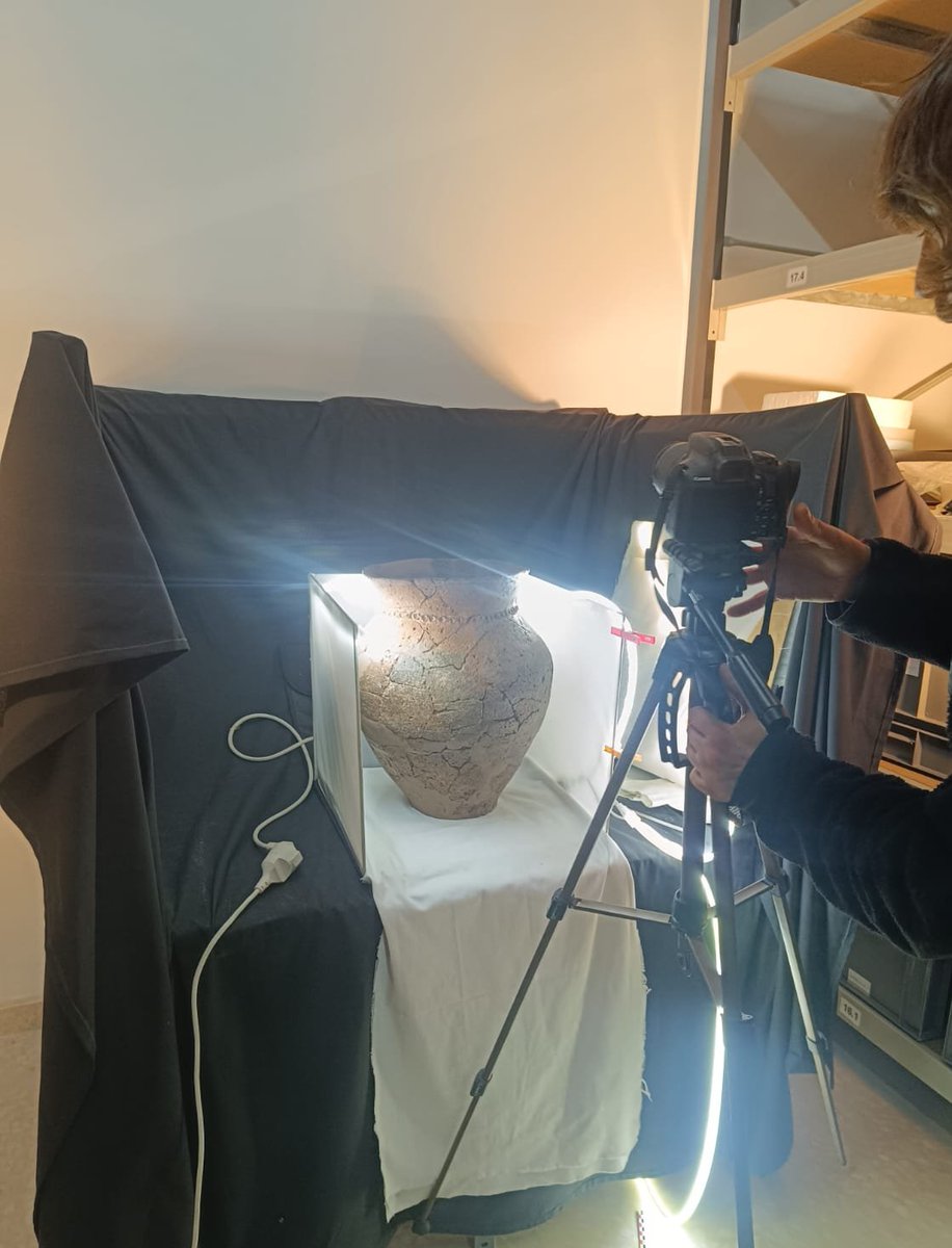 GRESEPIA tweet media